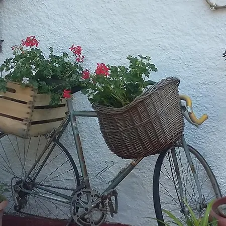 Letizia Bed & Breakfast