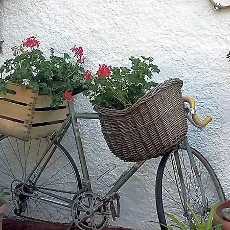 Letizia Bed & Breakfast 4*