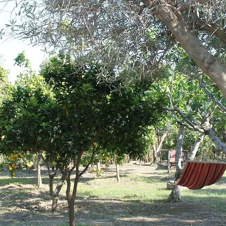 Bed & Breakfast Letizia