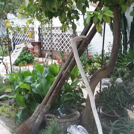 Bed & Breakfast Letizia 4*