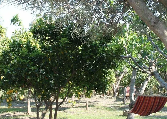 Frühstückspension Letizia