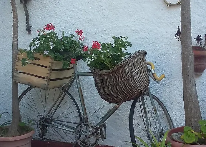 Letizia Frühstückspension