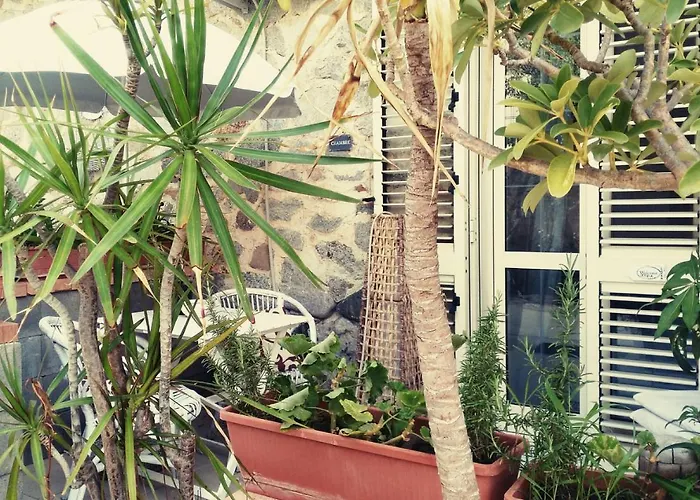 Letizia 4* Сидерно-Марина